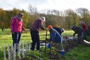 Planting hedge at Nontron Meadows