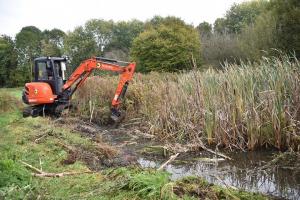 Removing vegetation from pond