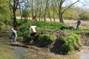 Clearing the brook      